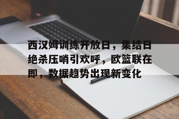 开云体育-西汉姆训练开放日，集结日绝杀压哨引欢呼，欧篮联在即，数据趋势出现新变化的简单介绍